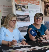 IV Festival Camina Pirineus - Senderisme a l'Alt Urgell 