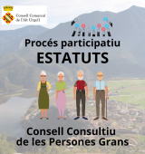 El Consell Comarcal obre a la participació ciutadana els estatuts del Consell Consultiu de les Persones Grans