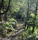 Una caminada pels entorns d’Alinyà tanca el cicle de les sortides guiades dels dimecres d’agost