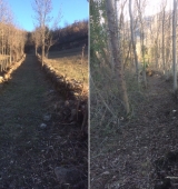 L’Alt Urgell arranja i desbrossa 200 quilòmetres de camins gràcies al programa Treball i Formació