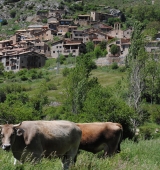 Finalitza a Cornellana el cicle “Desenterrant el passat” amb una conferència dedicada a una església i un castell perduts de la vall de la Vansa