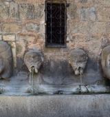 Comencen les sortides dels dimecres d’agost amb una caminada a les fonts d’Oliana