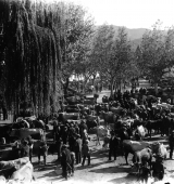 La Fira de la Seu d’Urgell en la seva perspectiva històrica, segona conferència del cicle “Desenterrant el passat”