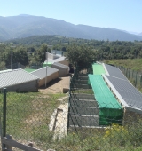 El Refugi d’animals abandonats de Benabarre, un equipament al servei dels municipis de l’Alt Urgell i la Cerdanya