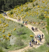 Més de 250 alumnes de l’Alt Urgell participen a les sortides de descoberta del patrimoni