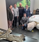 Les restes fòssils de la tortuga marina més gran d’Europa quedaran exposades a Coll de Nargó