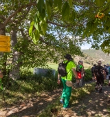 Enllestida la zona nord de la xarxa senyalitzada de camins de Camina Pirineus 