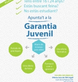 L’Alt Urgell posa en marxa el programa Garantia Juvenil