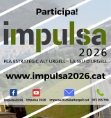 IMPULSA 2026 estrena pàgina web i inicia la primera fase de la diagnosi